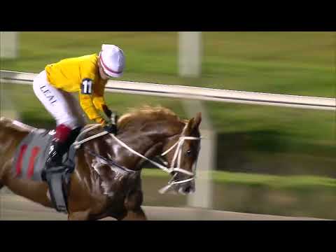 230409 c10 TREE BELO (BRZ)