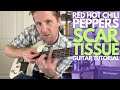 Scar Tissue By Red Hot Chili Peppers Guitar Tutorial Guitar Lessons With Stuart