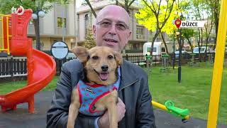 Kaydıraktan Kayıyor, Çocuklarla Oynuyor