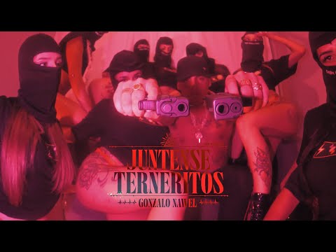 JUNTENSE TERNERITOS - GONZALO NAWEL (Prod.Wyzard)
