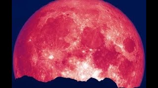 🎶💚🧚‍♀️ Opium 💞 Daniel Bélanger 🧚‍♂️💙🎶 ~ 🎥 1080pᴴᴰ 🎶 HQ Audio Remasterisé ~ Remastered