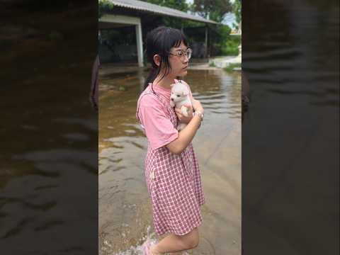 Cute Hero Japan‼️ How to Survive Flood💕❤️😘 | JJaiPan #Shorts