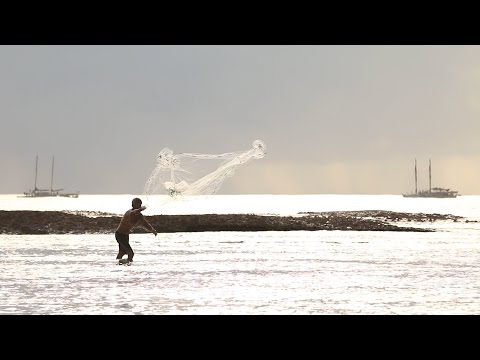 Worldwide Voyage | Swains: The Sustainable Island