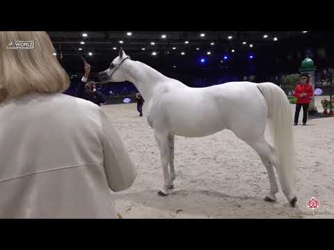 N 60 MAWADA AL KHALED   Paris 2019   Senior Females Class 3A