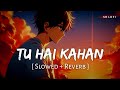 Tu Hai Kahan - Aur (Slowed + Reverb) | Usama Ali, Ahad Khan | Raffey Anwar | SR Lofi