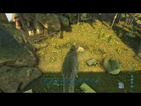 Double Bear Cave PvP