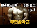5분(헬트)no.3 후면삼각근/어깨 넓게 만들기/후면 삼각근 볼륨운동 /내추럴운동법/ 고반복운동 /벤트오버레터럴레이즈/ 페이스풀 face full/shoulder exercise