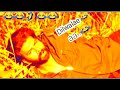 Dilwale Puchde Ne Che Meme Sunny Wayne Troll Funny Video Status Ann Mariya Kallipilanu