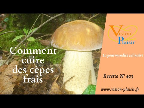 Comment cuire des cèpes