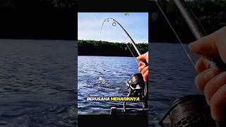 Download lagu Curved Rod 😲😲 #shortmancing #mancing #fishing #mancingikan mp3
