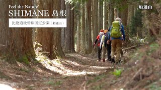 视频缩略图