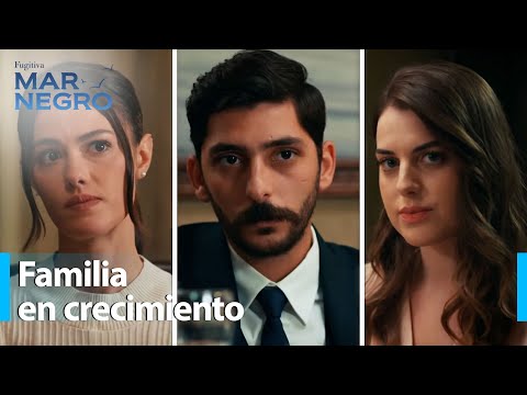 Una cena nerviosa en la mansión de Tamar - Mar Negro Capítulo 201 | Fugitiva