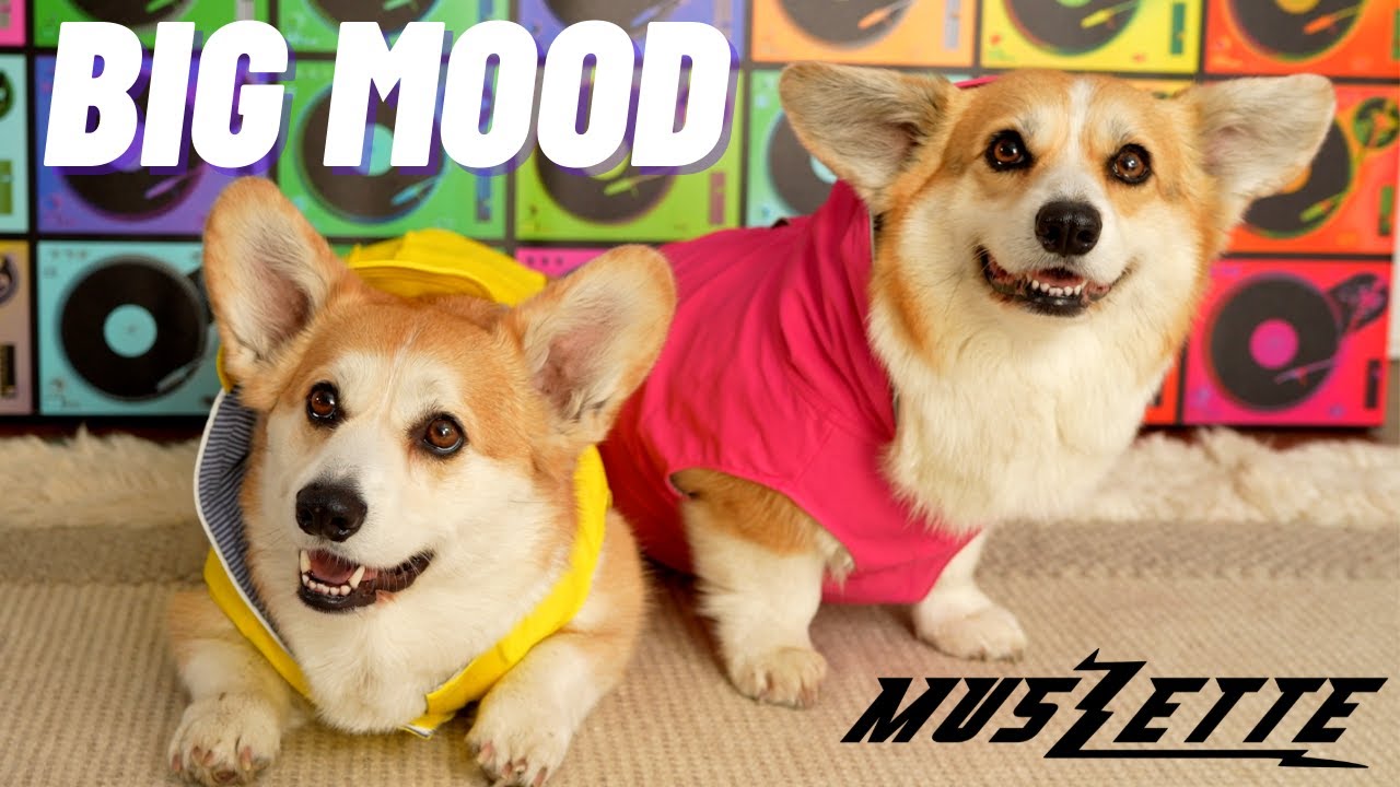 Big Moods: 50 Songs to Fight to | Punk Ass Motherfucker News