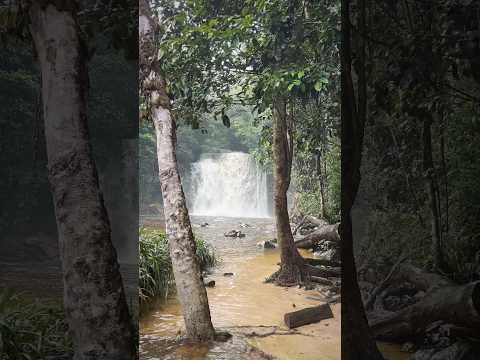 Sem pressa… 🍃 #cachoeira #amazônia #amazonas #brasil #natureza #presidentefigueiredo #aventura