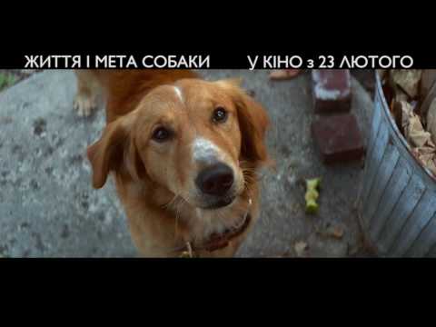 ЖИТТЯ І МЕТА СОБАКИ [ОФІЦІЙНЕ ВІДЕО]