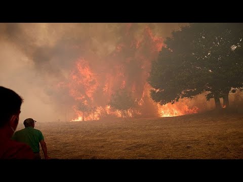 Waldbrände der Superlative: 2025 ein schwarzes Jahr für Europa