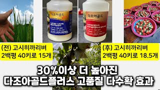 30%이상 더 높아진 다조아골드플러스 고품질 다수확 효과- 다조아골드와 번갈아 시비할 때(고시히까리 벼 20…