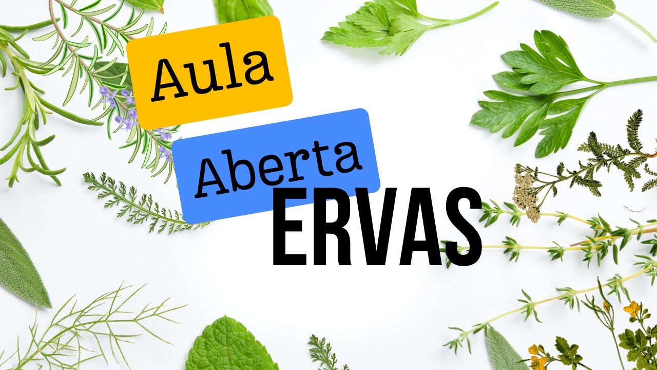Aula de Ervas