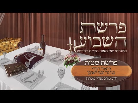 אור החיים הקדוש - פרשת מטות