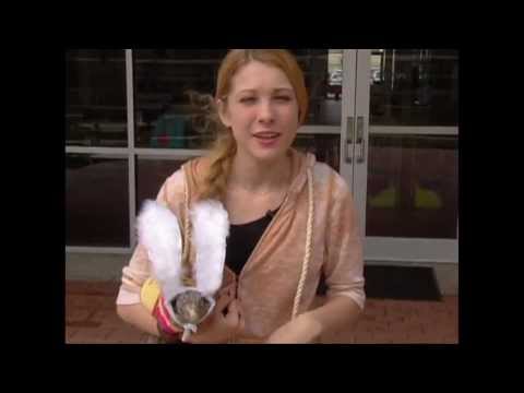 YouTube Video LDTOhNIO2Z8