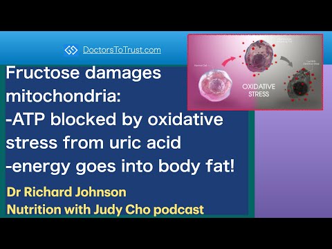 RICHARD JOHNSON 4 | Fructose damages mitochondria:-ATP blocked by  uric acid: generates body fat!