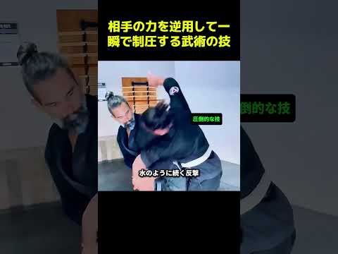相手の力を逆用して一瞬で制圧する武術の技