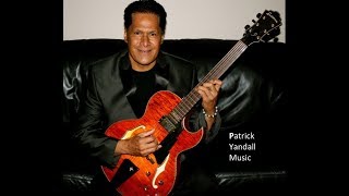Guitarist Patrick Yandall Jazz fusion & Blues tracks from 15 CD's.