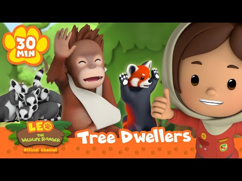 Orangutan, Monkeys, Owls & more ANIMALS living in TREES! 🌳 | Leo the Wildlife Ranger | Kids Cartoons