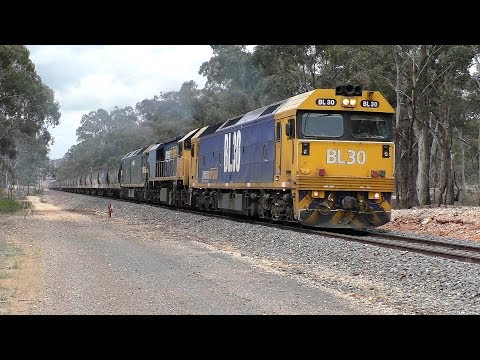 BL30-XR558-G523 on 7938V ex Donald at Dunolly.   16-10-18.  15.50.09.