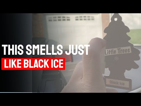 This smells just like Black Ice Little trees