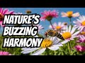 10 HOURS OF BUZZING MOSQUITOES IN A COLORFUL FLOWER FIELD NATURE AMBIENCE