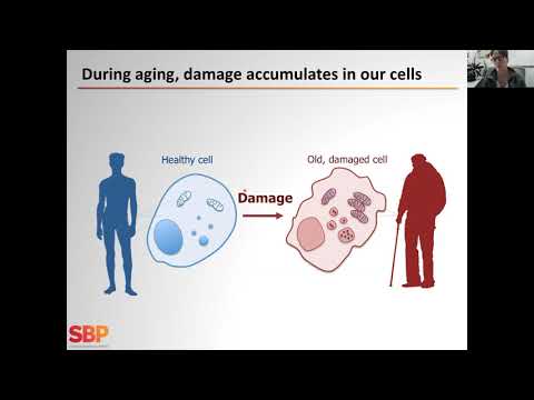 Sharp Minds: Cellular Recycling in Aging and Disease