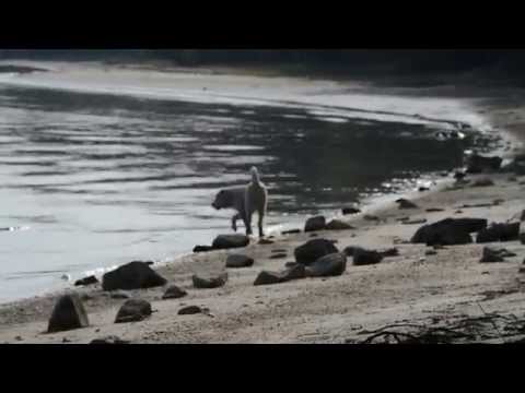 ESKALIBUR 4 month & NAZIR 4 years :)