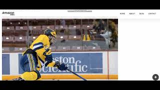 MN Hockey Hub: Uniting Players Fans and Enthusiasts Across Minnesota
