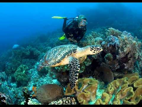 Edward SIMONI   Aria z opery   Poławiacze pereł