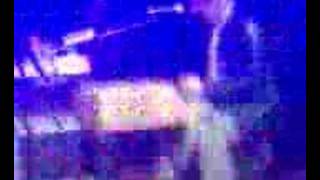 the rifles and paul weller , shes the only one