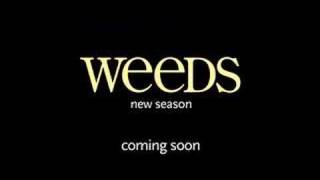 Kevin Nealon on Getting Stoned