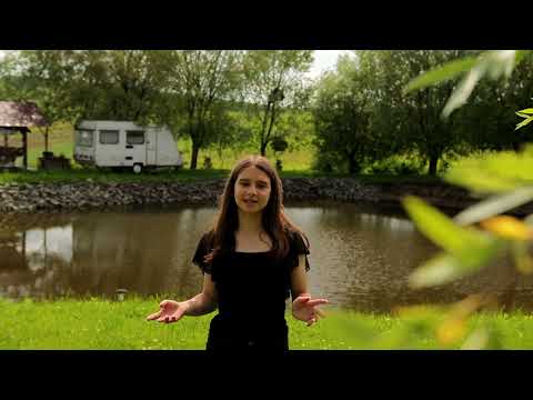 Bercean Daria - Vanare de vant