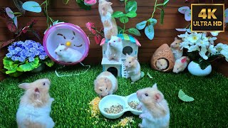 Cat TV for cats to watch hamsters playing in green nature, 4k UHD 10 hours