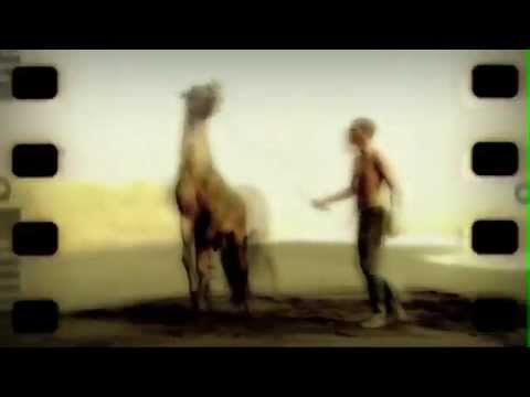 Mi So Ki Fika Li (Michel Montrond)