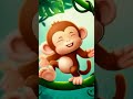 Happy Monkey Swinging