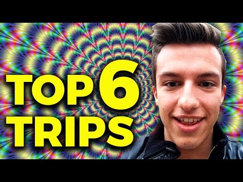 Ich habe Pilze & Meskalin genommen und das ist passiert | Meine Top 6 Trips