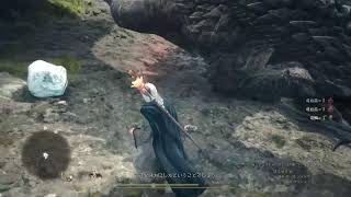 ドラゴンズふくぴ
