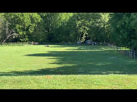 Smitten 7/26/2020 Outrun/Pen