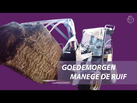 Goedemorgen manege De Ruif 👋 | manege De Ruif