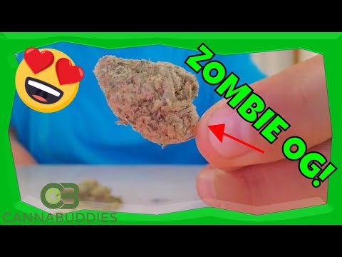 2020 Zombie OG Weed Strain Review & Discount Code for KanaPost