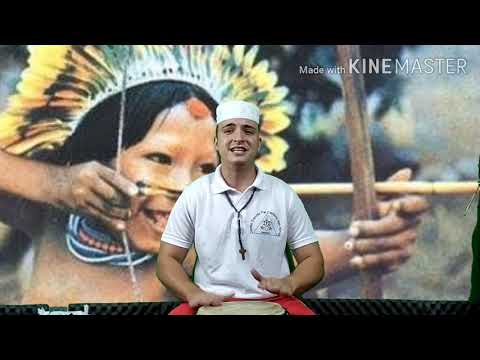 Point of Ibeji Flechinha - He is small but a great hunter