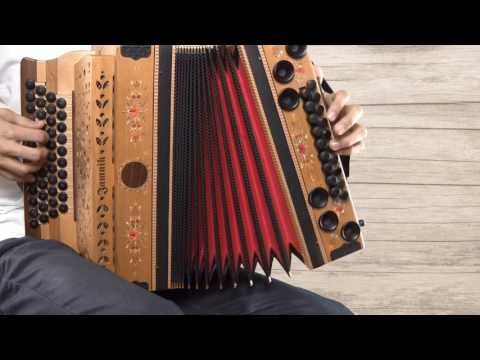 Ziachfuchs  ,,Vernuerer Walzer''