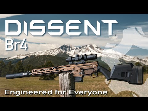 The NEW DISSENT Br4 - A Closer Look