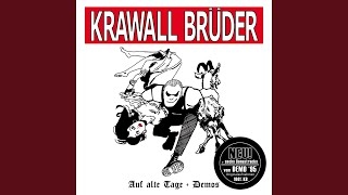Music video thumbnail preview for Willst du die Wahrheit (Demo '95) (Bonustrack) by Krawallbrüder